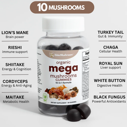 Organic mega mushroom GUMMIES 10 mushrooms in 1 supplement (Maitake Fruiting Body 10:1 Extract, Shiitake Fruiting Body 10: 1 Extract, Lion’s Mane Fruiting Body 10:1 Extract, Reishi Fruiting Body 10:1 Extract, Cordyceps Fruiting Body 10:1 Extract, Chaga Fruiting Body 10:1 Extract, Turkey Tails Fruiting Body 10:1 Extract, White Button Mushroom Fruiting Body 10:1 Extract, Black Fungus Fruiting Body 10:1 Extract, Royal Sun Mushroom Fruiting Body 10:1 Extract)